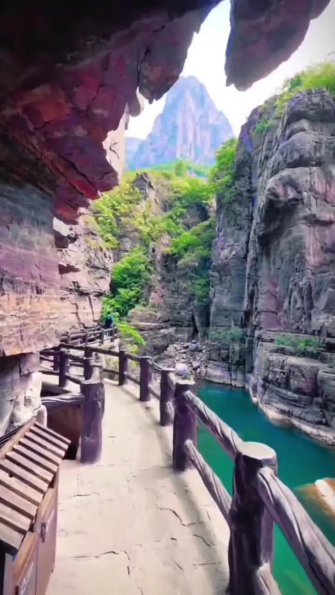 河南暖阳，难忘快乐时光